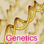 Genetics - Notes