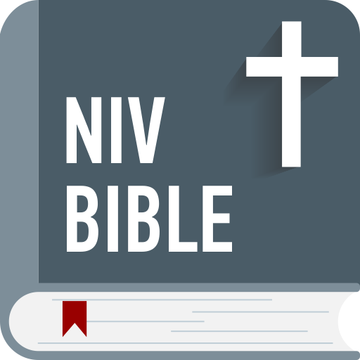 NIV Bible audio version