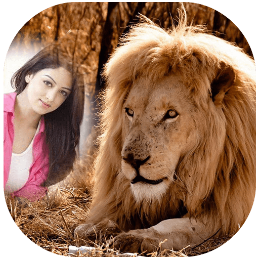 Lion Photo Frames