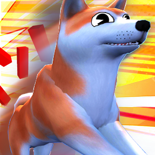 Shiba Inu Run
