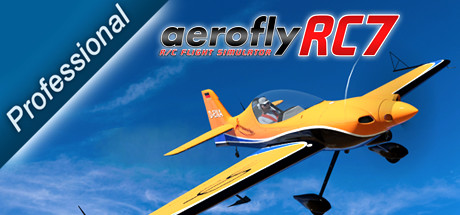 aerofly RC 7 Professional Edition