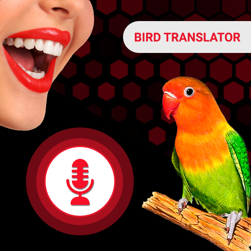 All Birds Voice Translator App