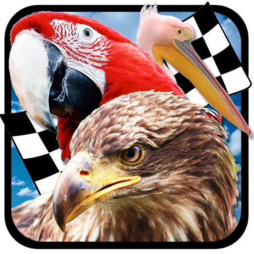 Bird Race 3D