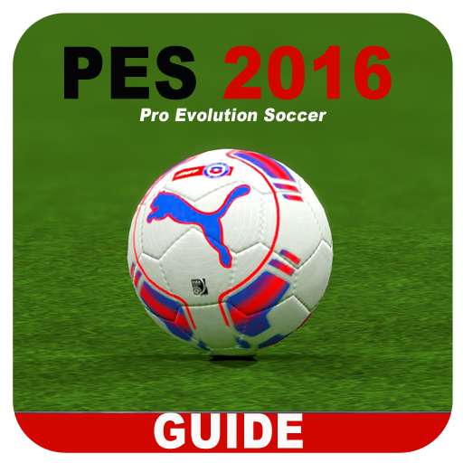 Guides PeS 2016