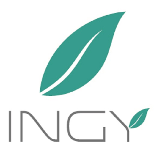 Ingy Smart Lighting