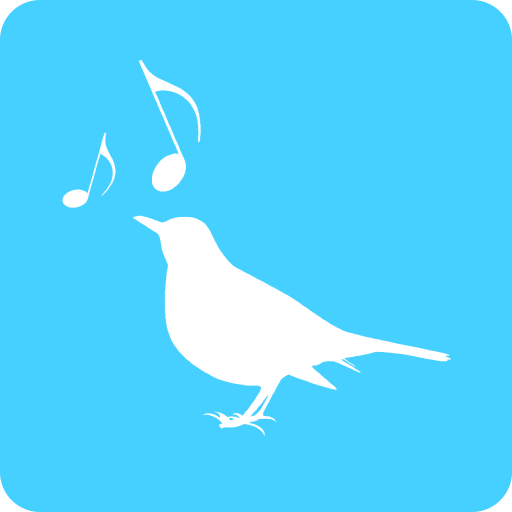 Amsel – Train your Voice