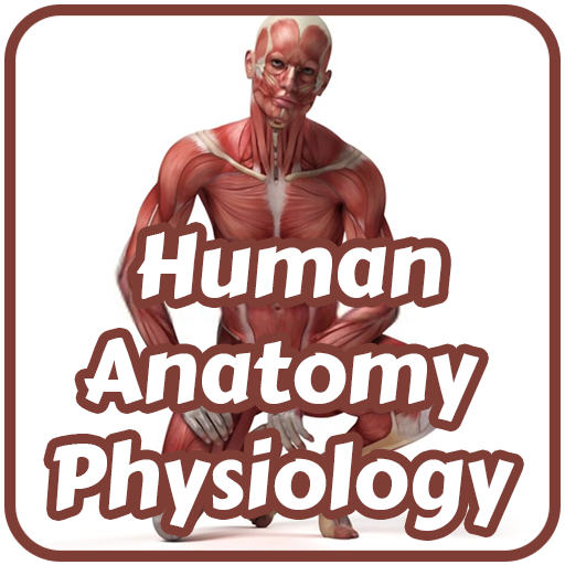 Human Anatomy & Physiology