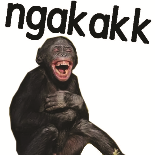 Stiker Monyet Monkey Lucu WA