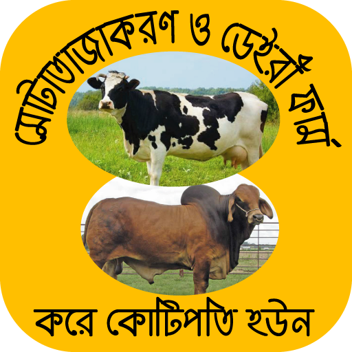 গরুর খামারের বিস্তারিতcow farm