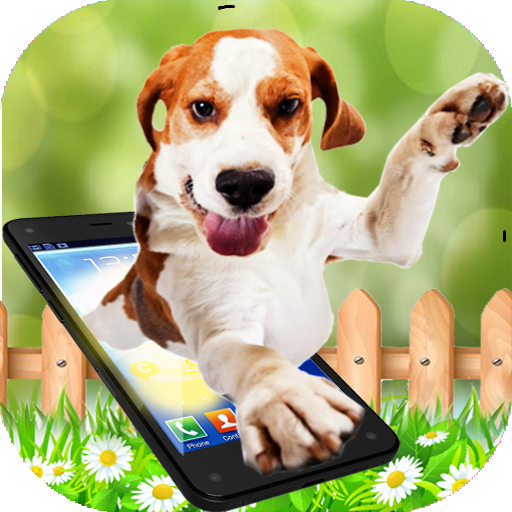 Cute Dog in Phone Funny walks