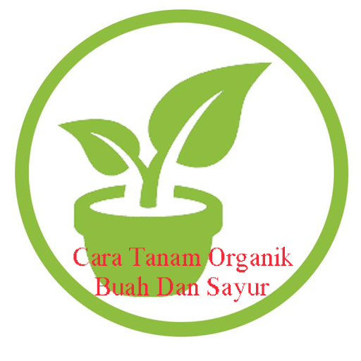 Cara Tanam Organik Buah Dan Sayur