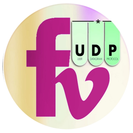 FRIENDS VPN UDP