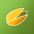 Fustog | فستق