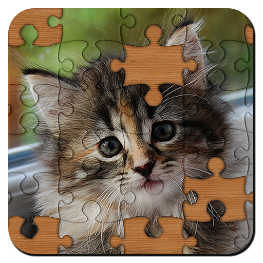 Jigsaw Puzzles