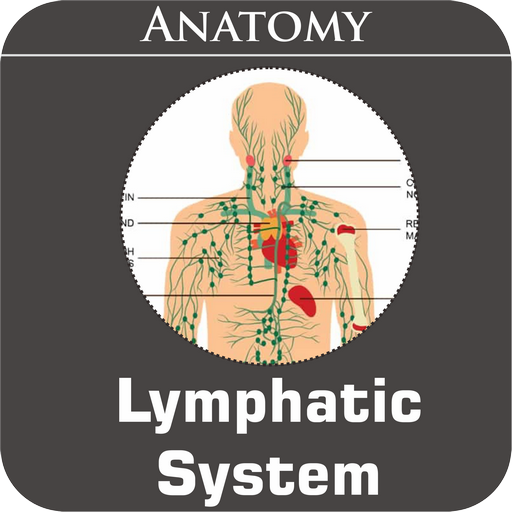 Lymphatic System