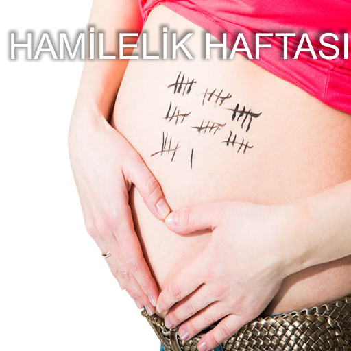 Hamilelik Haftası Hesaplama