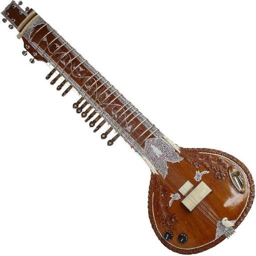 Real Tanpura