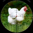 Chicken Hunting Challenge Game