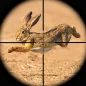 Rabbit Game Sniper Shooting