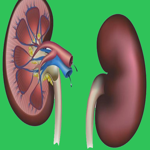 علاج لتنظيف الكلى