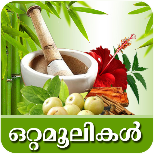 Naattuvaidyam-Ottamooli