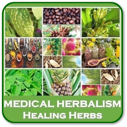 Medical Herbalism | Natural Cures | Remedies & Use