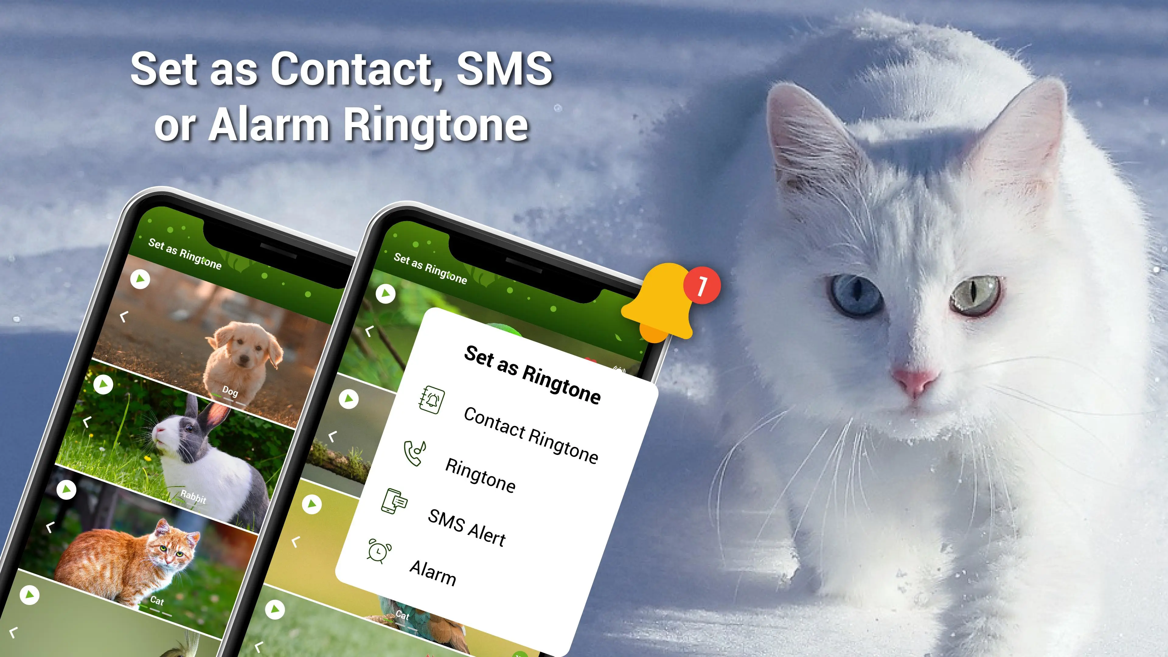 Download Animal Ringtones - Birds Sound android on PC