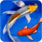 Fish Live Wallpapers For Lock Screen & Home Screen