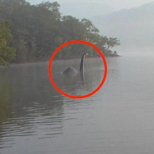 Loch Ness Monster Real Sounds