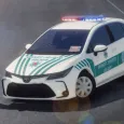 Trafik Polisi Simulator