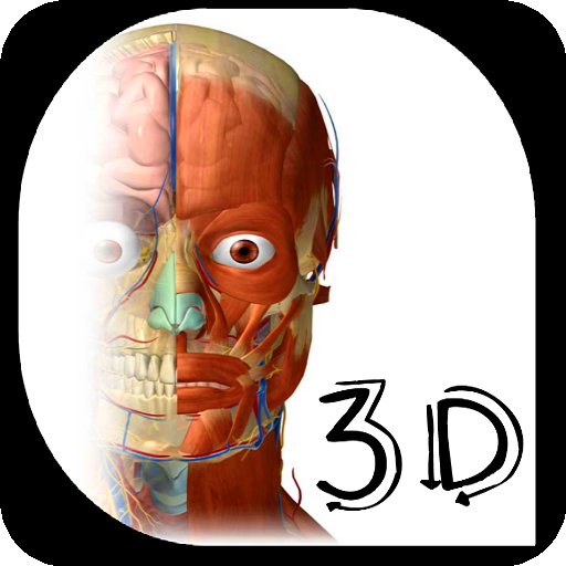 Anatomia e fisiologia humana 3D