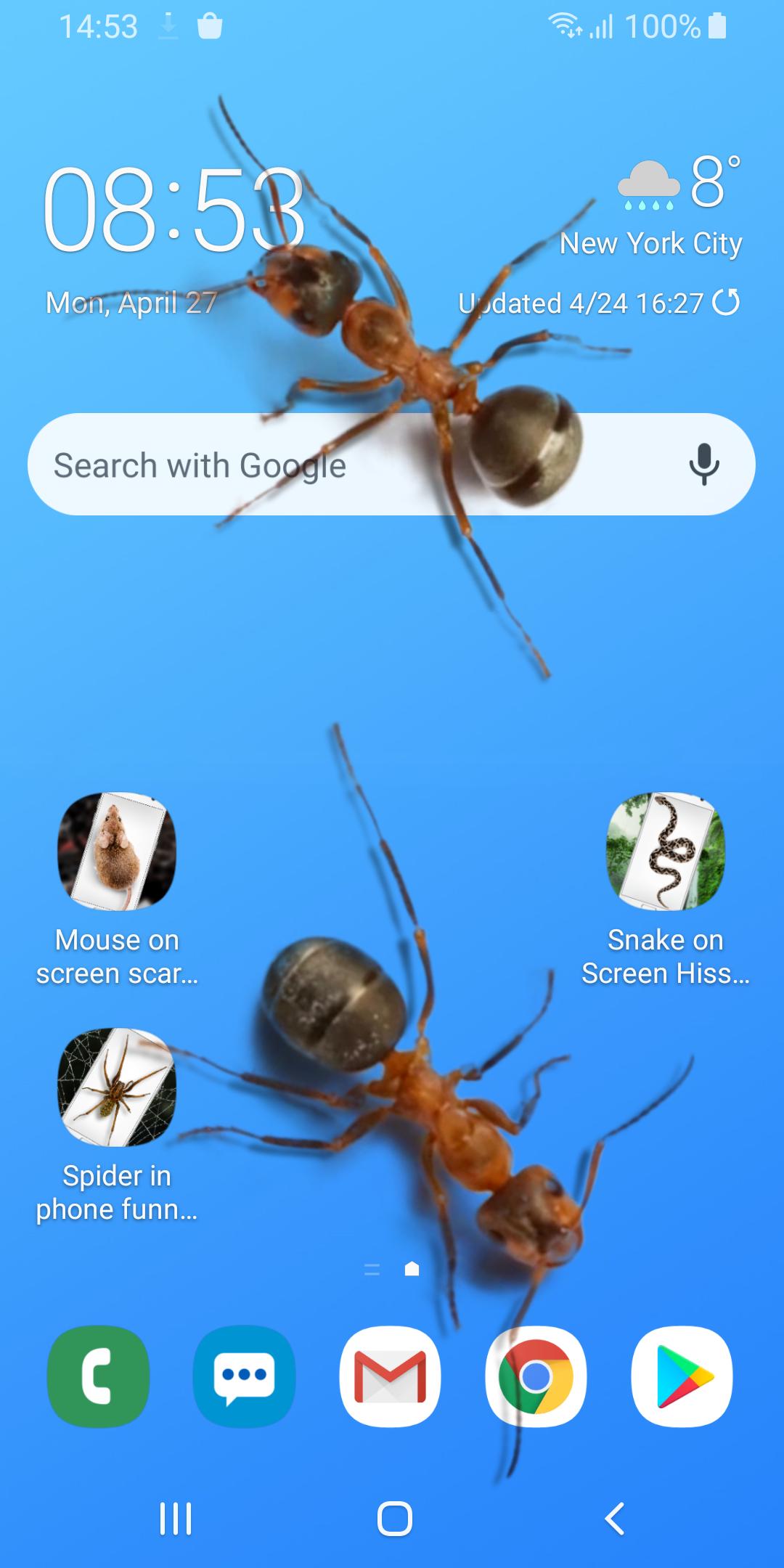 gallery