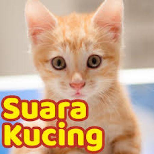 SUARA KUCING