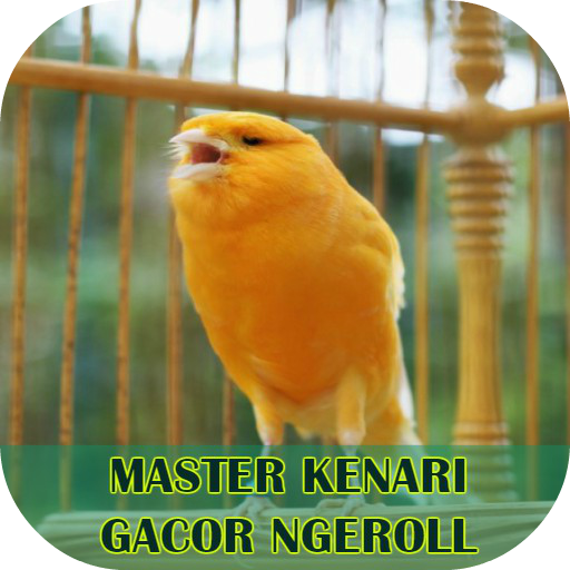 Master Kenari Gacor Ngeroll