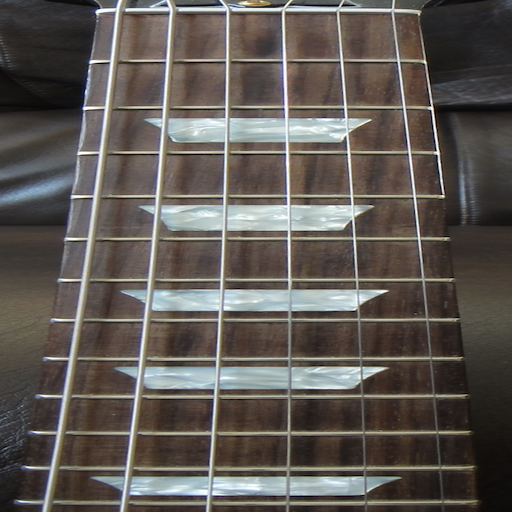 Electric Guitar Fretboard FREE