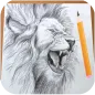How to Draw Lion