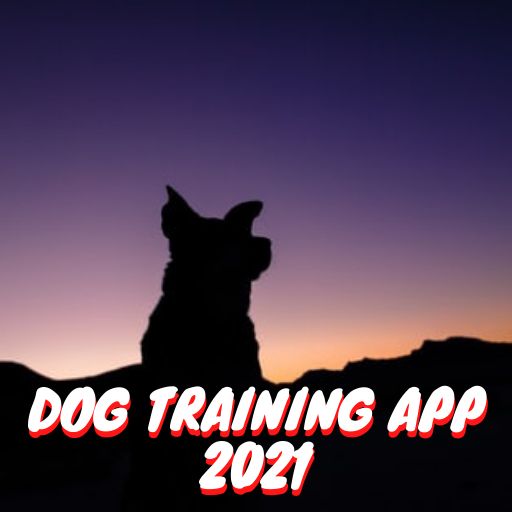 Köpek Eğitimi Uygulaması 2021