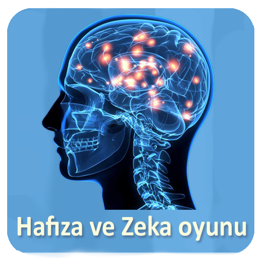 Hafıza ve zeka Oyunu