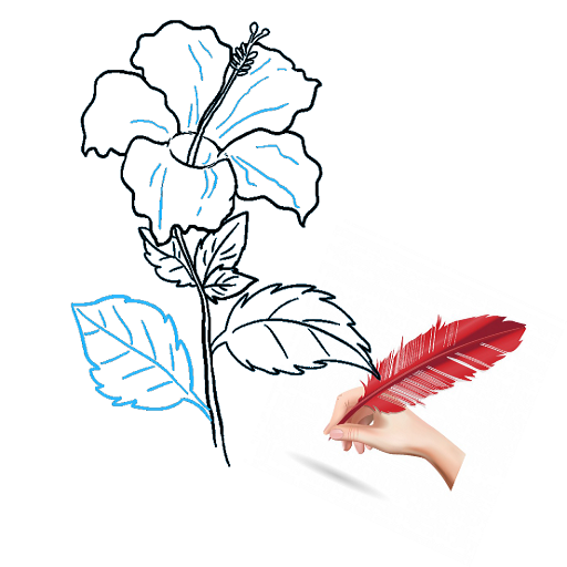 วิธีการวาดดอกไม้