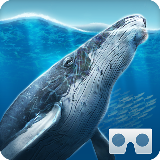 Sea World VR2