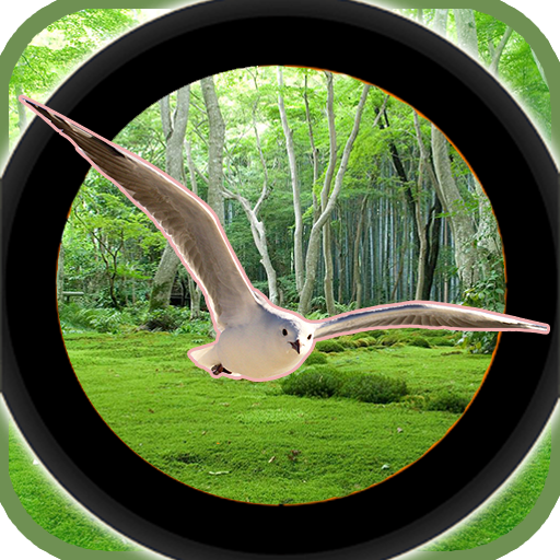 Forest 3D Birds Hunting - atir