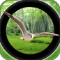 Orman 3D Kuşlar Avcılık - Kesk