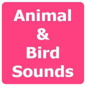 Animal and Bird Sounds Offline