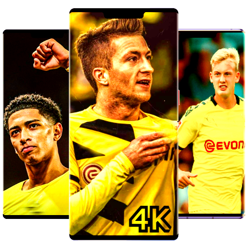 Borussia dortmund wallpaper