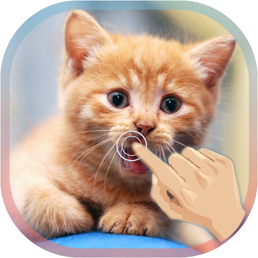 Magic Touch Cat Live WallPaper