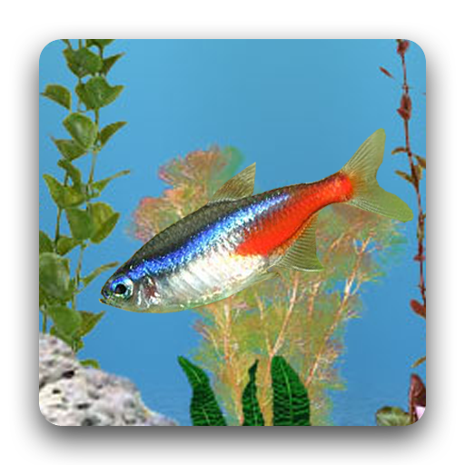 aniPet Freshwater Live WP