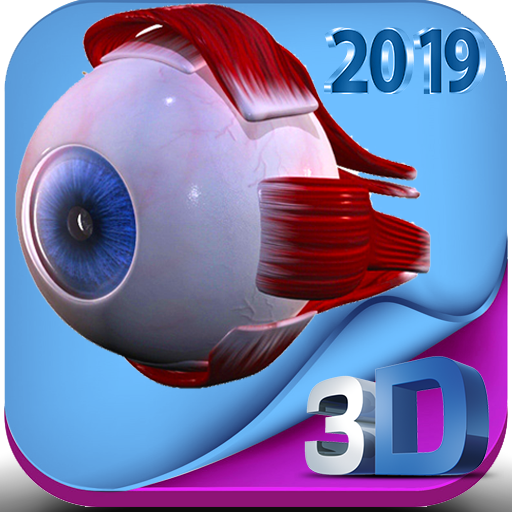 Human eye anatomy 3D