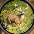 जंगली शिकारी : शिकार करना खेल