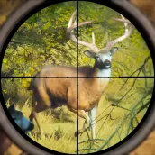 जंगली शिकारी : शिकार करना खेल