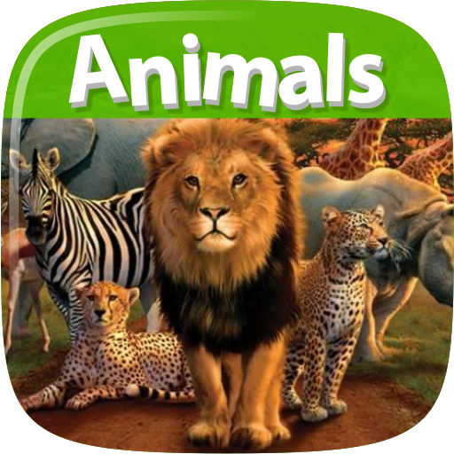 Animals Dictionary